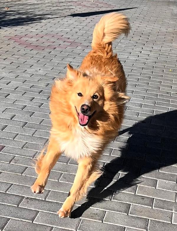 DIOR cerca casa Foto 5